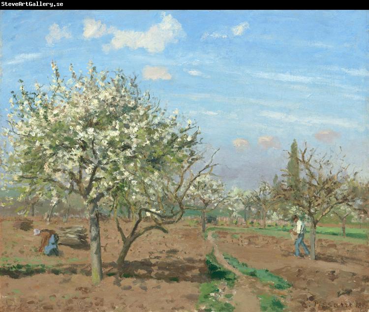 Camille Pissarro Orchard in  Bloom,Louveciennes (nn02)